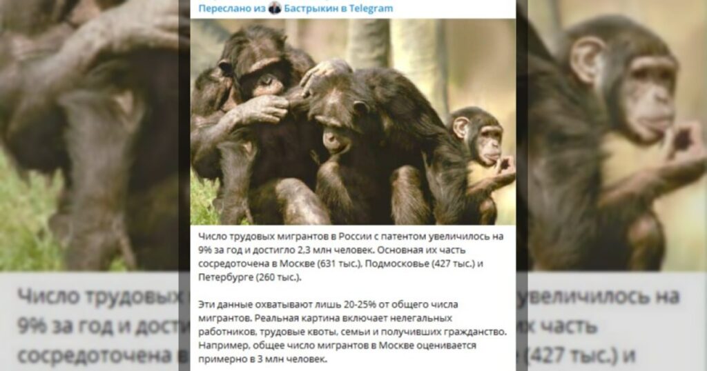 Власти России во всей красе: