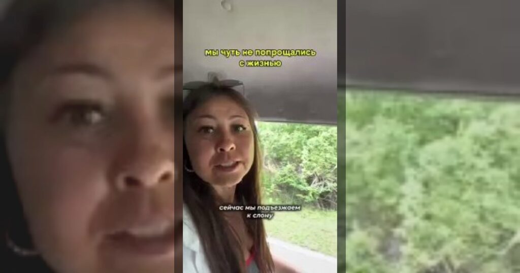 Дикий слон напал на туристов на Шри-Ланке