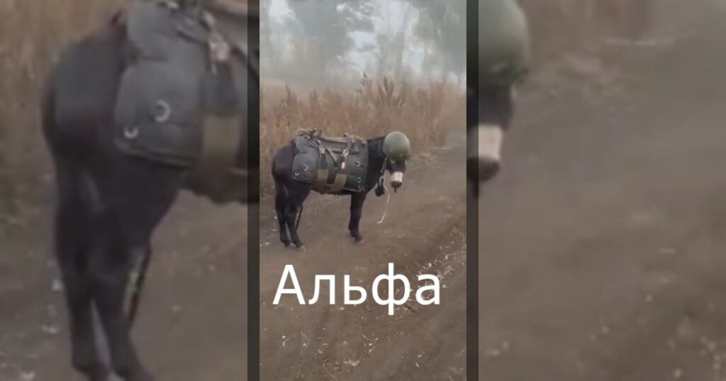 Из серии Киев за три дня