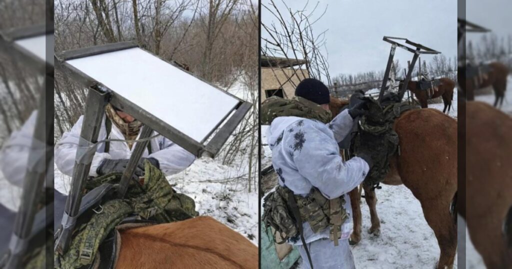 Россияне стали устанавливать Starlink на лошадей