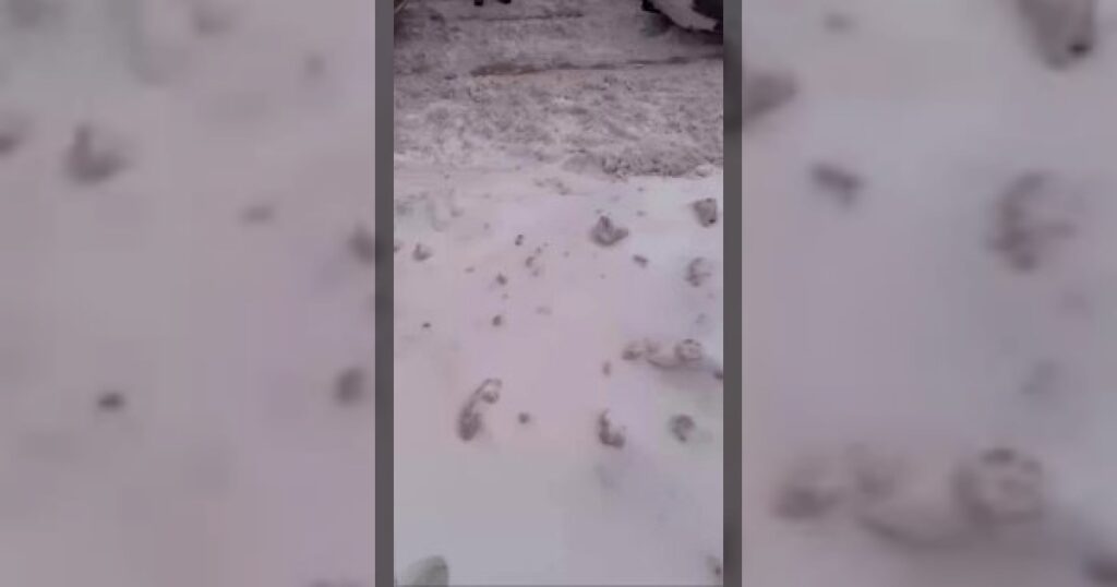 Audi Quattro взяла на буксир 20-тонную фуру