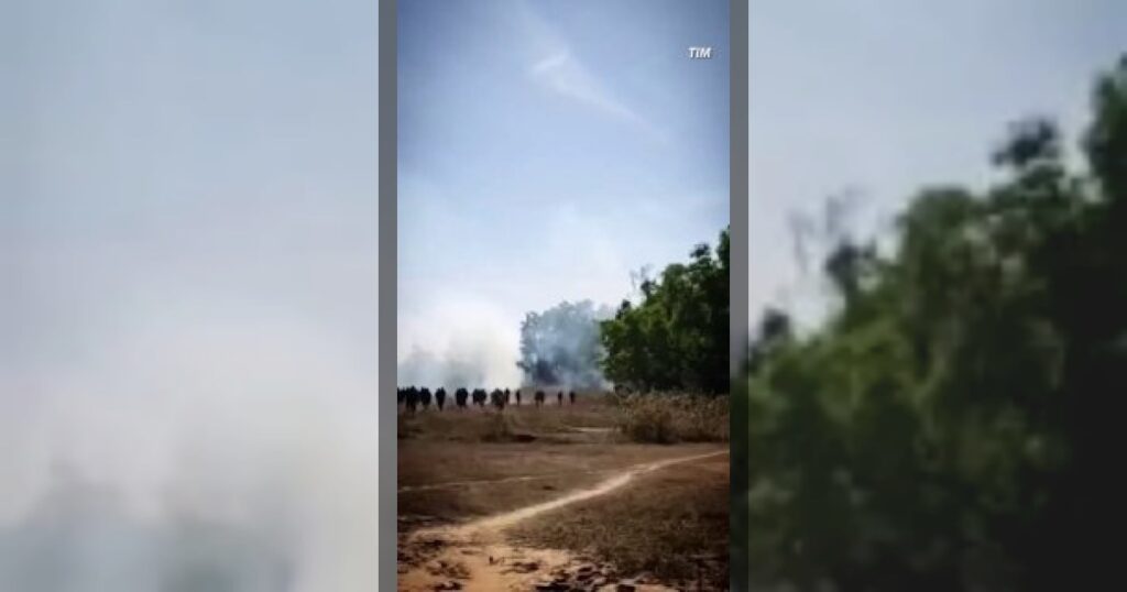 Слон-убийца бушует в Индии — за 10 дней он убил уже 22 человека.