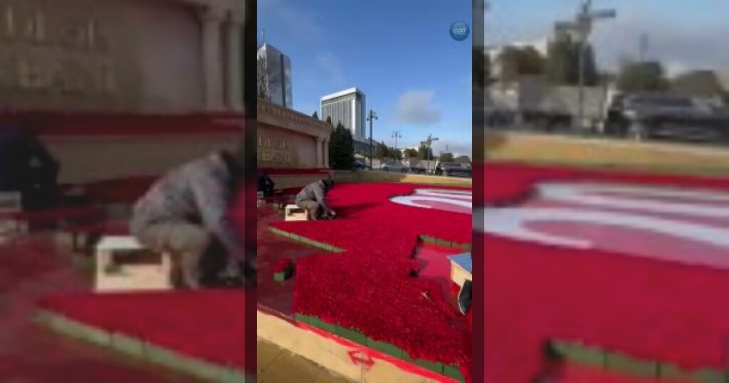 В Баку на Аллее шехидов ведутся подготовительные работы к 36-й годовщине трагедии 20 Января.