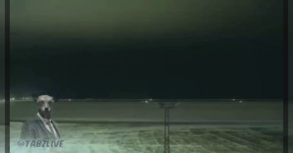 Дания размещает военную технику и передовой контингент в Гренландии, которая готовится принять больший приток войск из датской армии и других оборонных ведомств