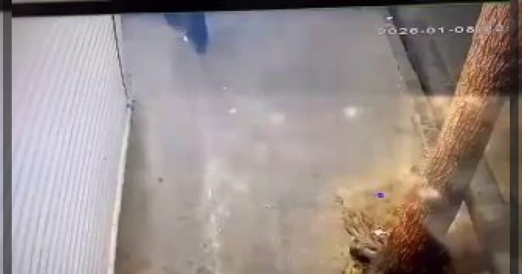 Появились видеозаписи, на которых боевики «Басидж» жестоко избивают женщину во время антиправительственных протестов в Иране.