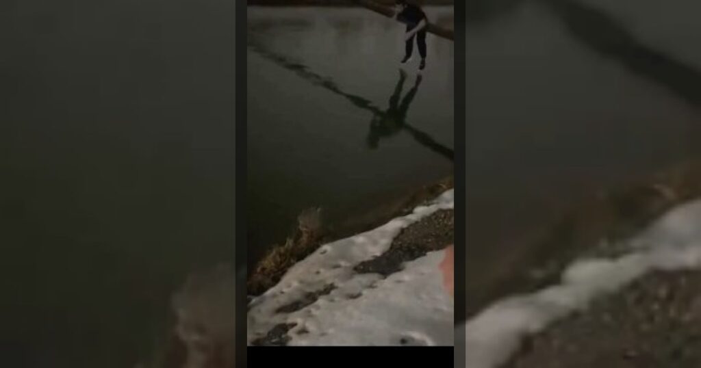 В Махачкала прохожие спасли женщину и ребёнка, которые оказались заблокированы в тонущем автомобиле.