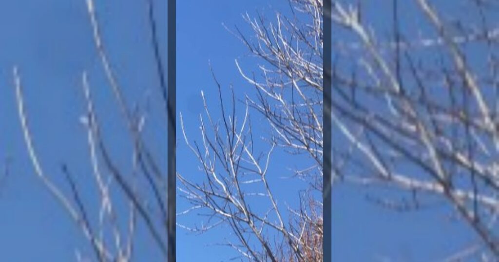 B-52 подняли над США