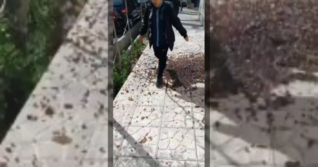 Израиль, по сообщениям СМИ, ударил по дому Ахмадинежада — МИД Ирана обвиняет США и Израиль