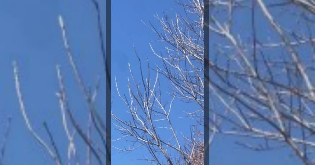 Пентагон подтвердил, что бомбардировщики B-52 принимали участие в операции «Эпичный гнев» против Ирана в течение последних 24 часов