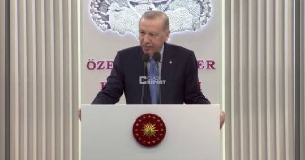 Президент Турции Реджеп Тайип Эрдоган