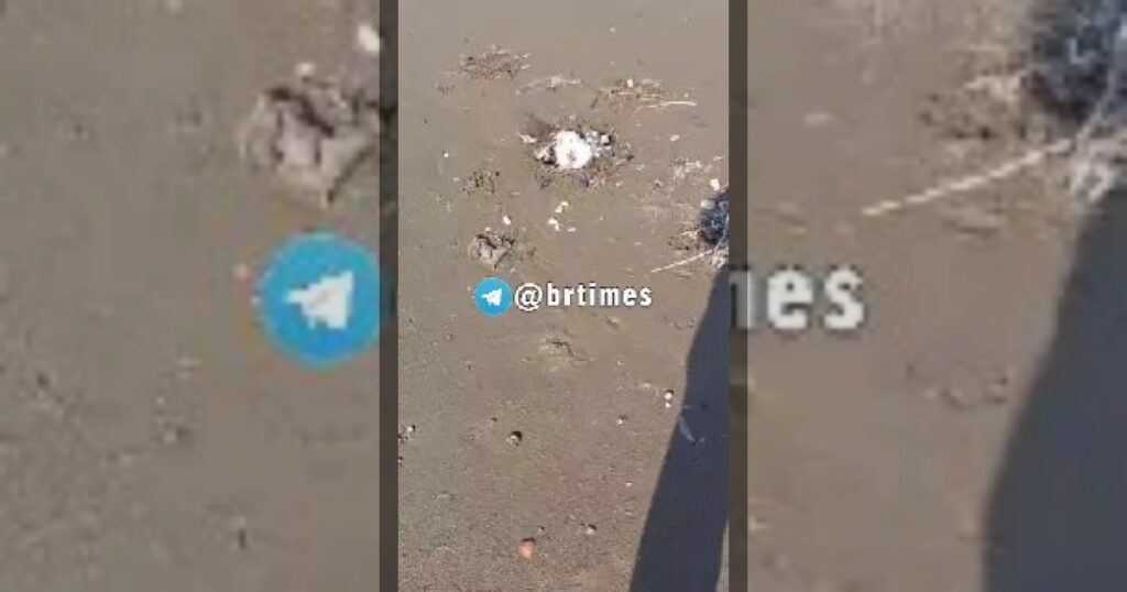 На азербайджанском побережье Каспийского моря зафиксирована массовая гибель птиц.