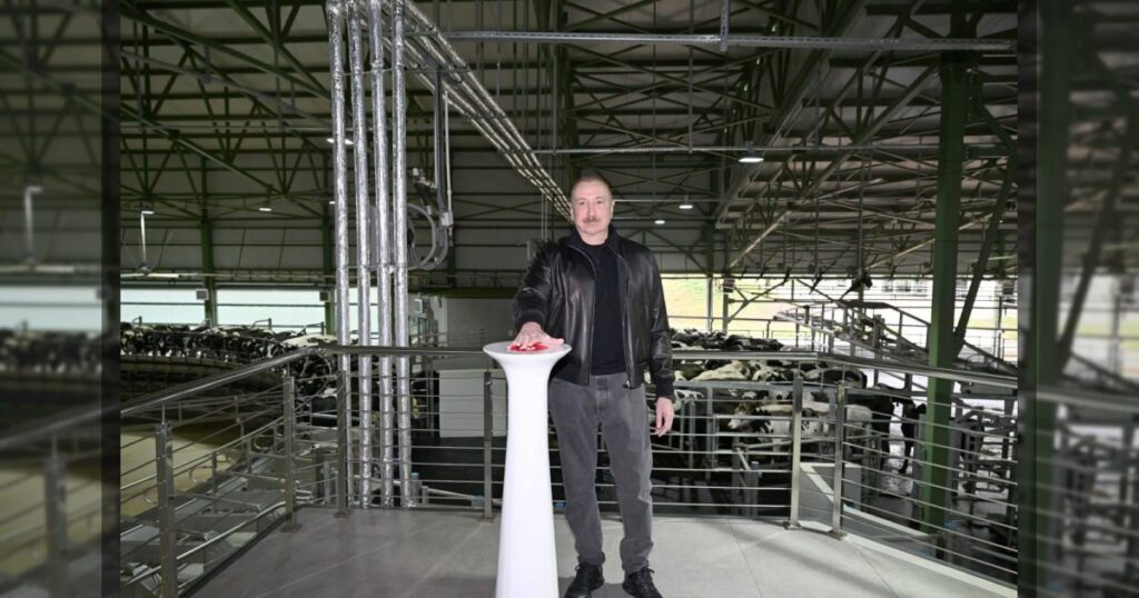 Президент Азербайджана Ильхам Алиев принял участие в открытии ряда объектов в Шамахинском районе