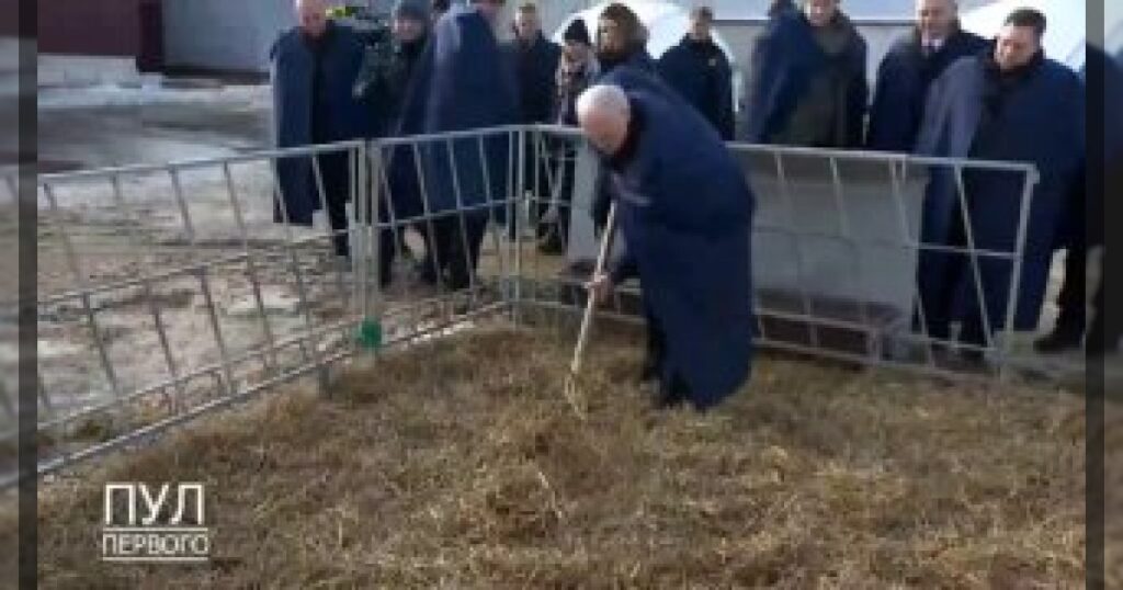 Лукашенко — своя атмосфера. Решил тоже не отставать от Пашиняна.