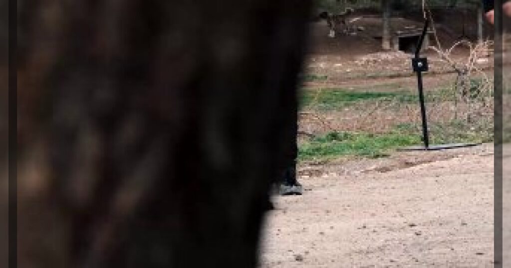 В Турции представили первый дрон-перехватчик HUNTER