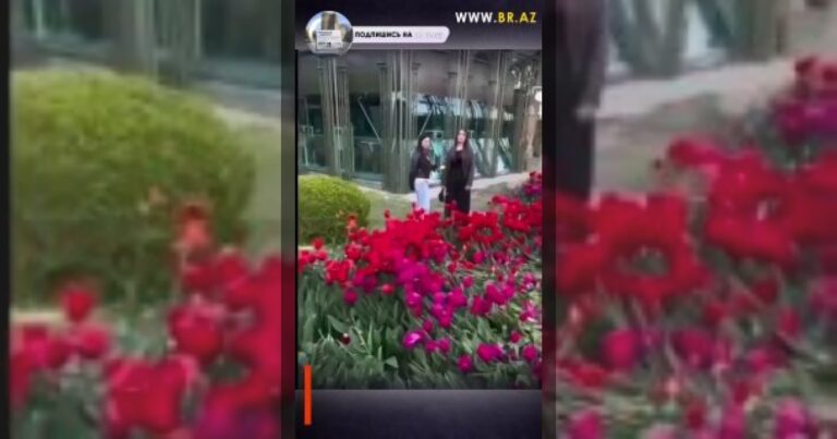 Неприятный ситуация на бакинском бульваре: уничтожены цветочные клумбы