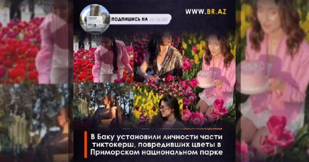 В Баку установлены личности части тиктокерш, повредивших цветы в Приморском национальном парке